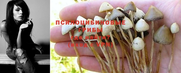 спиды Алексеевка